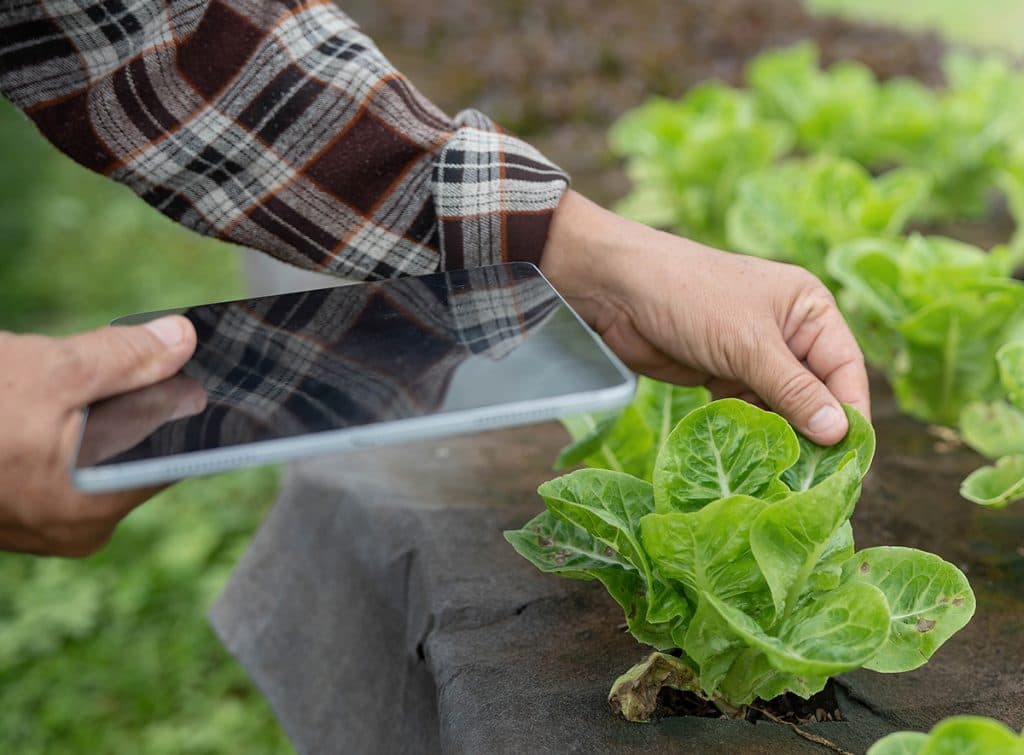 Best Practices for Agricultural IoT Implementation
